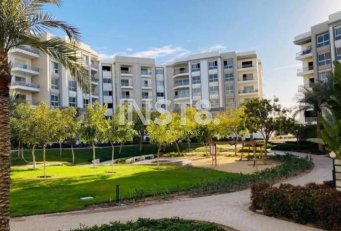 55747828 - صورة العقار 2