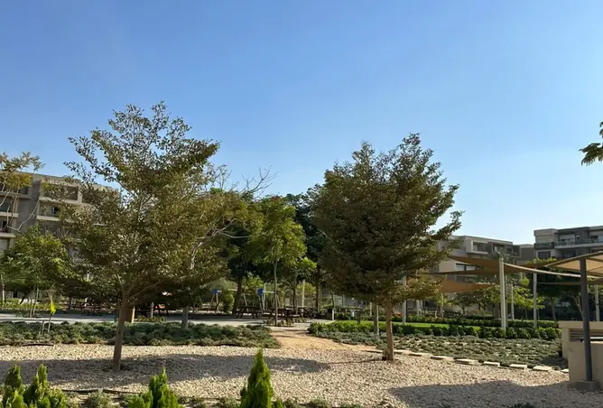 115177397 - صورة العقار 2
