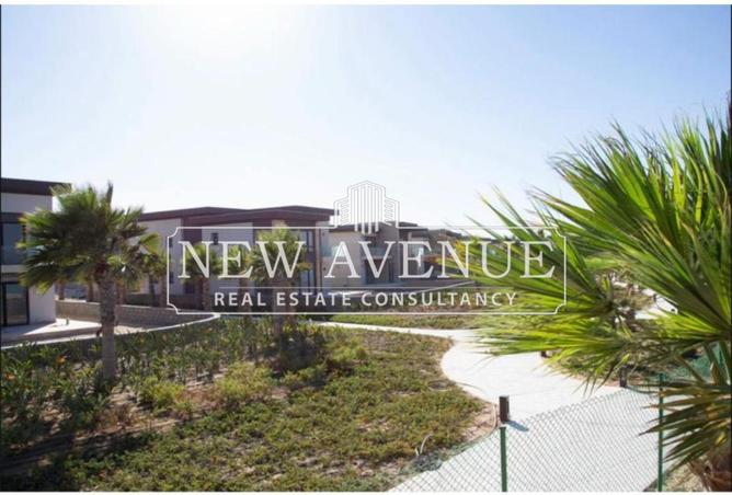 64134337 - الصورة الرئيسية للعقار