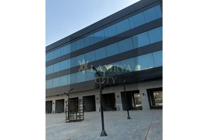 54233300 - صورة العقار 3