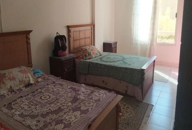 55501636 - صورة العقار 3