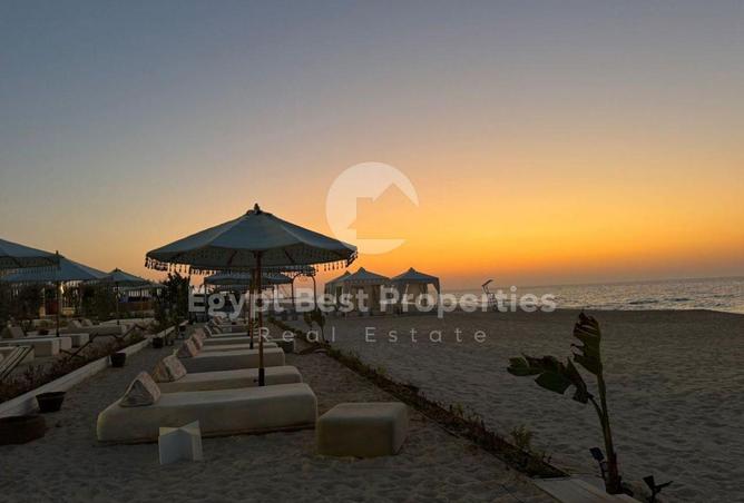 67219203 - Property Image 3