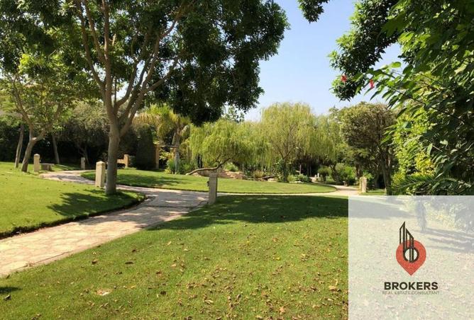 54494100 - Property Image 3