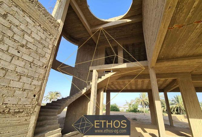 52975302 - Property Image 2