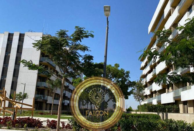 54240968 - صورة العقار 2