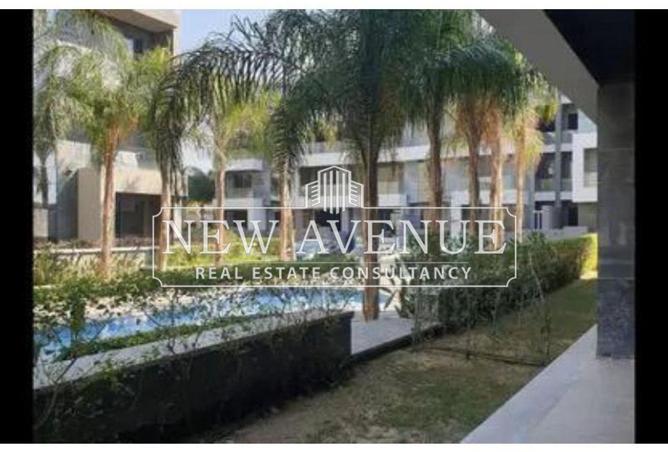 54494562 - صورة العقار 2