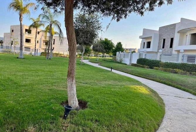 55749427 - صورة العقار 3