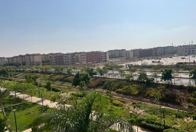 101199684 - صورة العقار 3