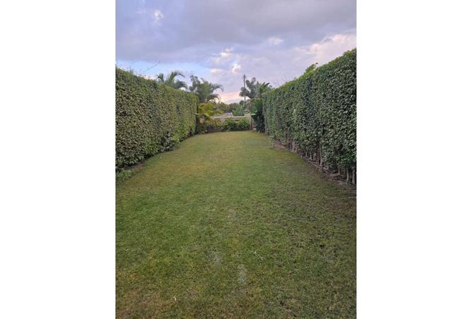 55501358 - Property Main Image