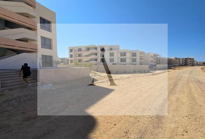 52967869 - Property Image 3