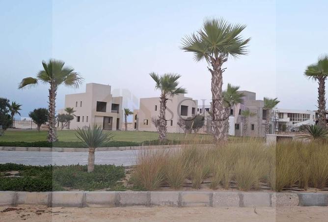 97715601 - الصورة الرئيسية للعقار