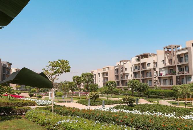 57495569 - Property Image 3