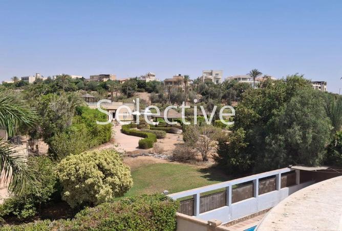 53729901 - صورة العقار 3