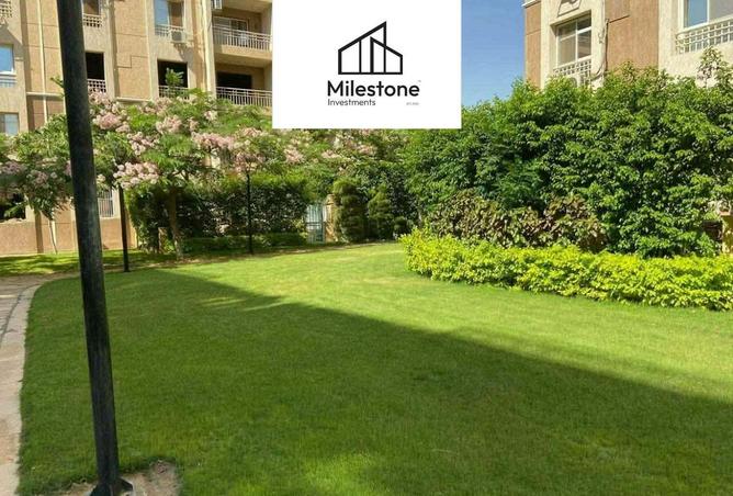 58990589 - صورة العقار 3