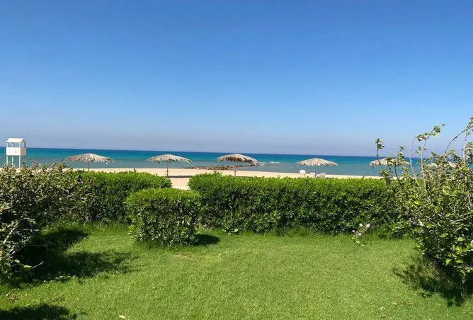 98009418 - صورة العقار 2