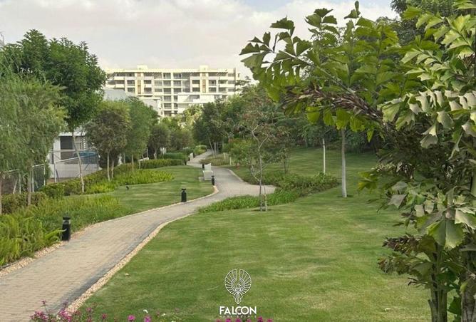 99121251 - صورة العقار 3