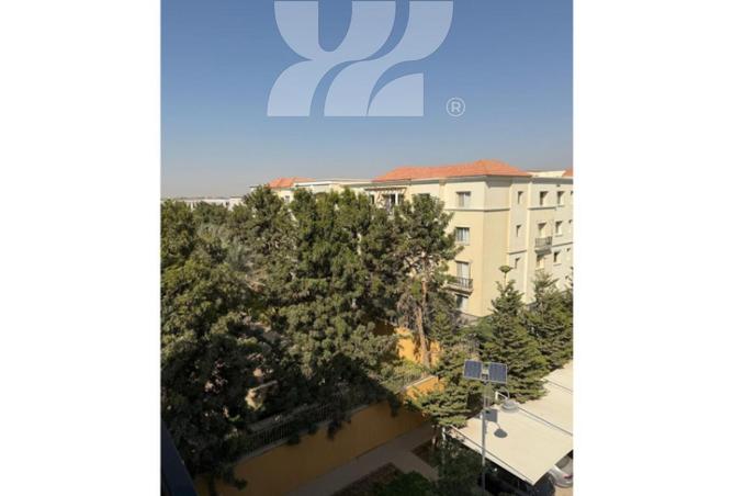 71394527 - Property Image 2