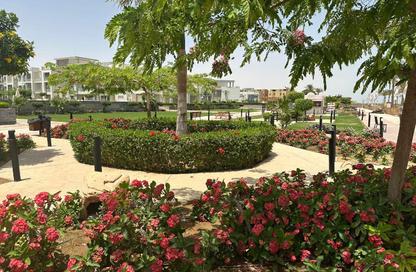 Chalet - 1 Bedroom - 1 Bathroom for sale in Aroma Residence - Al Ain Al Sokhna - Suez