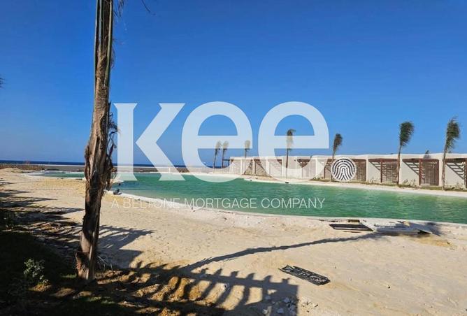 74594526 - Property Image 2