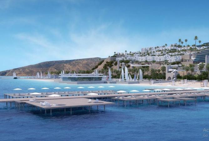 58244469 - صورة العقار 3