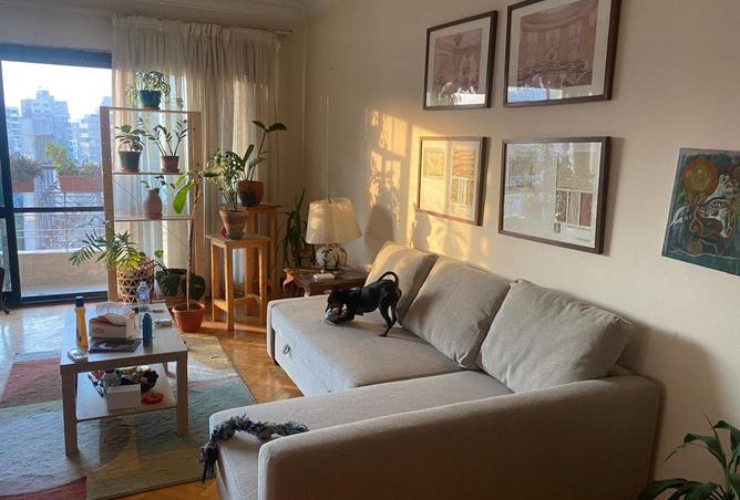 67997064 - الصورة الرئيسية للعقار