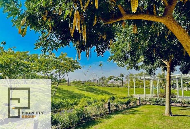 52445082 - Property Image 3