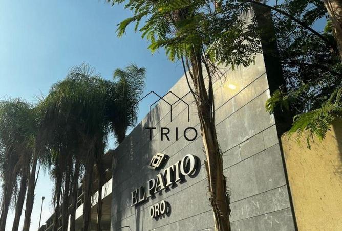 8419021 - Property Image 3