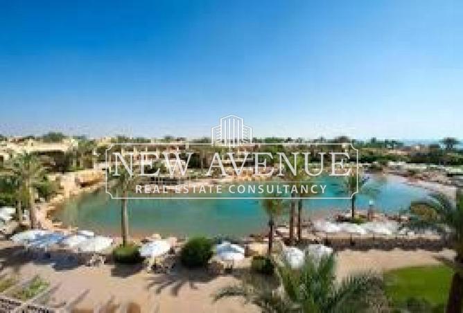 62643871 - Property Image 2