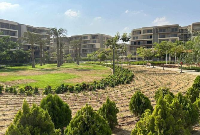 61192746 - صورة العقار 2