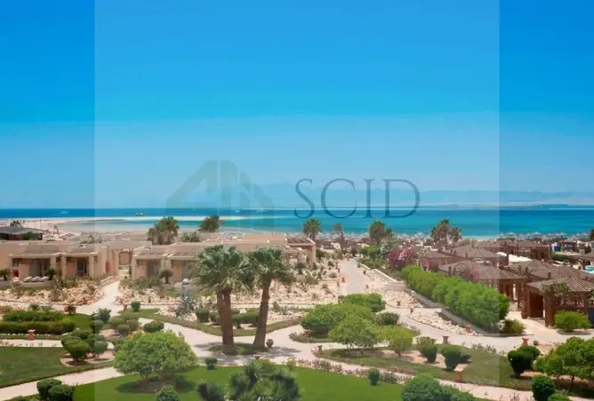 113537601 - صورة العقار 3