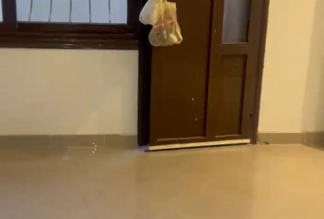 106861950 - صورة العقار 3