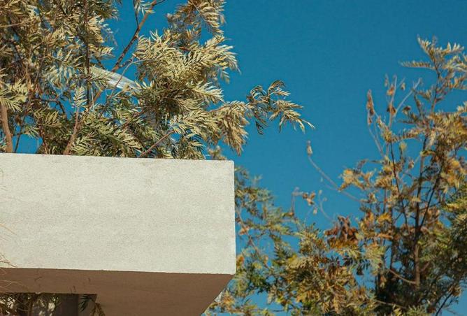 68782209 - صورة العقار 3