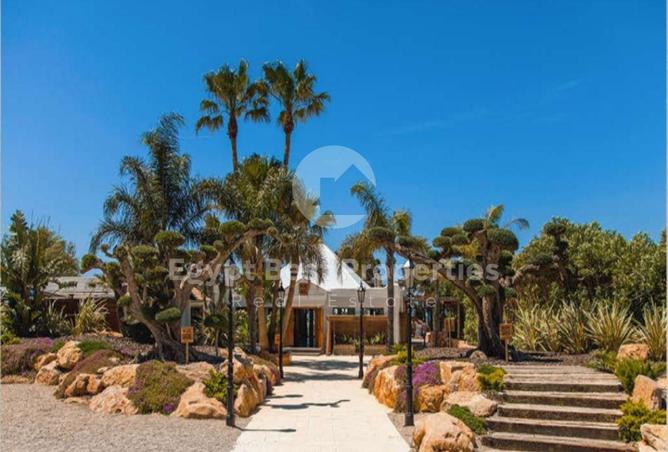 77610865 - Property Image 2