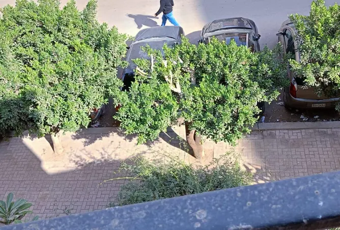 53978766 - صورة العقار 2