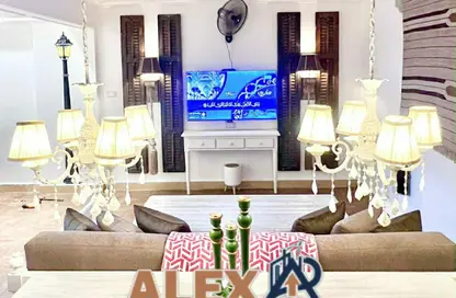 Apartment - 1 Bedroom - 1 Bathroom for rent in Stanley Bridge - Stanley - Hay Sharq - Alexandria