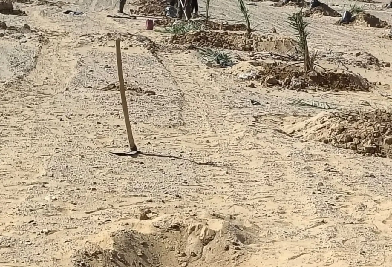 117535047 - الصورة الرئيسية للعقار