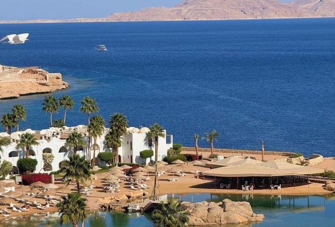 8662917 - صورة العقار 2