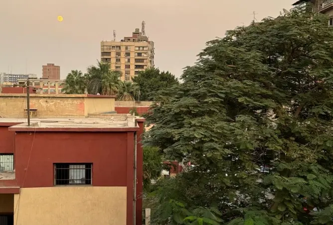117026854 - صورة العقار 3