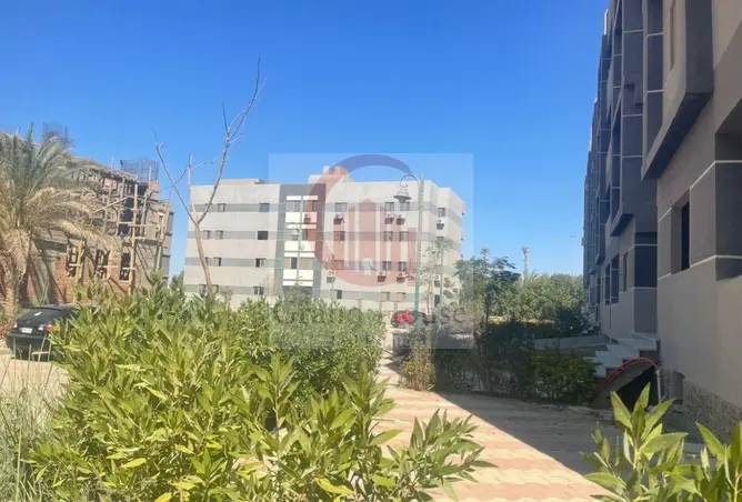 112435351 - Property Image 3