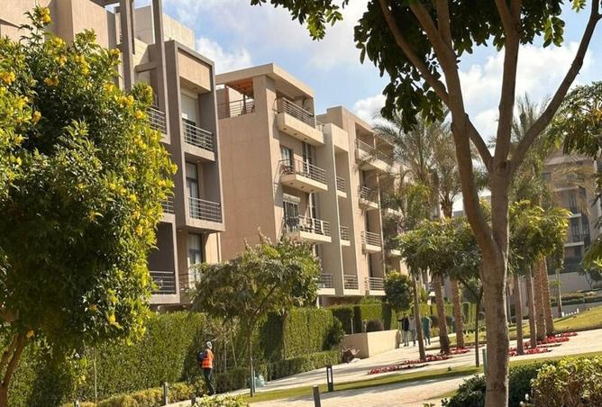 66702444 - Property Image 3