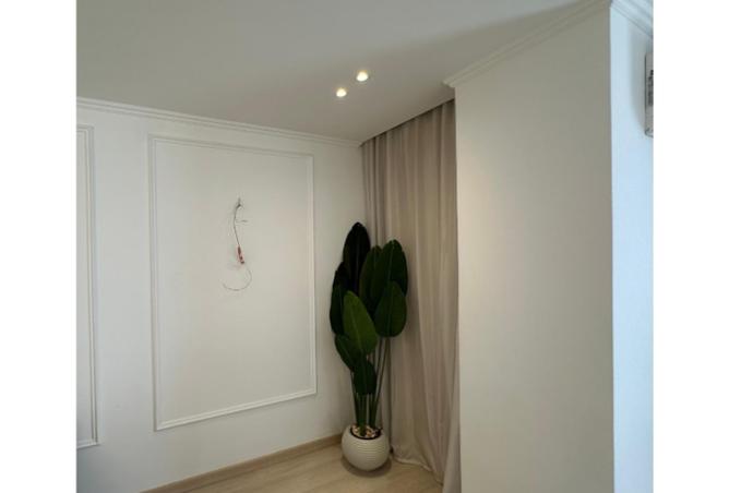 96864549 - Property Image 3
