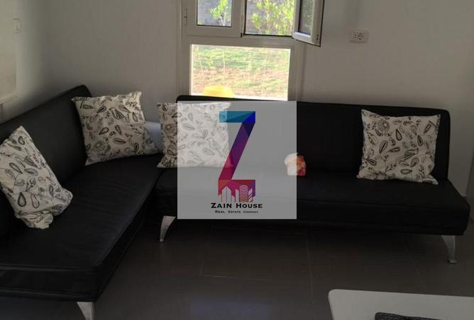 66175795 - Property Image 3