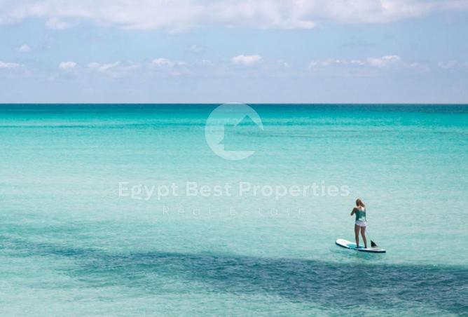 8542785 - Property Image 3