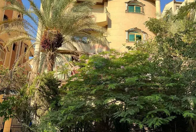 118809199 - صورة العقار 2