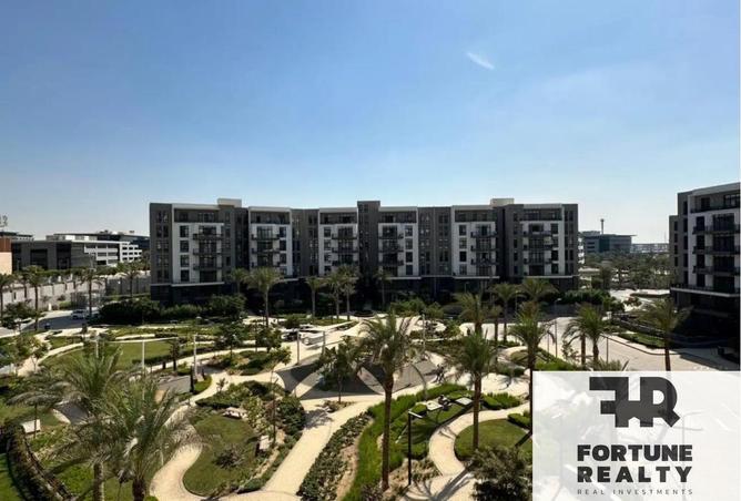 58245060 - Property Image 3