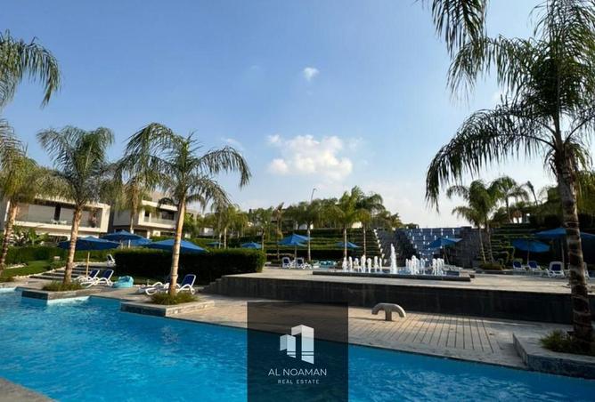 60954245 - Property Image 3