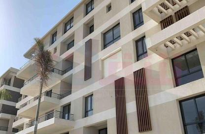 شقة - 2 غرف نوم - 2 حمامات للبيع في بالم هيلز - كمبوندات الاسكندرية - الاسكندرية شقة - 2 غرف نوم - 2 حمامات للبيع في بالم هيلز - كمبوندات الاسكندرية - الاسكندرية