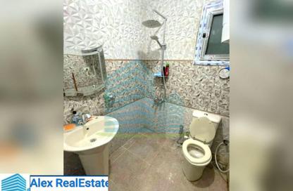 Apartment - 3 Bedrooms - 2 Bathrooms for rent in Port Said St. - Ibrahimia - Hay Wasat - Alexandria
