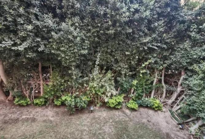 52720690 - Property Image 2