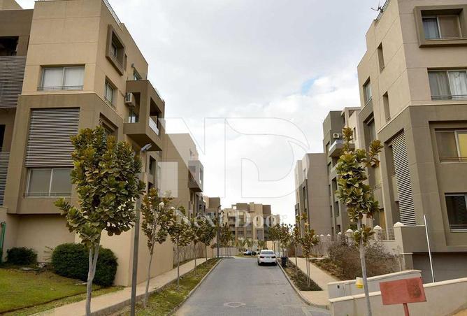 8703403 - Property Image 3